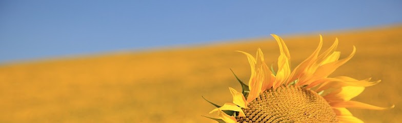 Moerland Locations, Location de Vacances à Prades-sur-Vernazobre