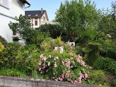 Katiolo - Chambres d'hôtes et Restaurant Ivoirien, Chambre d'Hôtes à Bischwiller