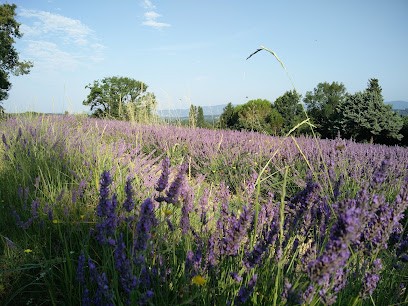 Villegiatour, Location de Vacances à Montboucher-sur-Jabron