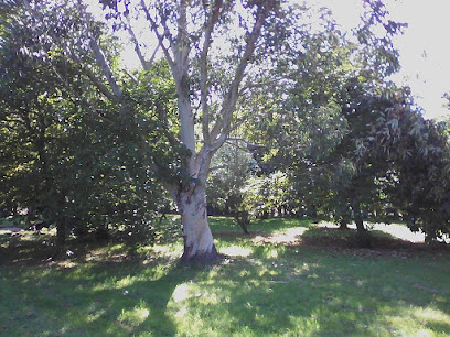 Gîte Lézardrieux, Location De Vacances à Kerbors
