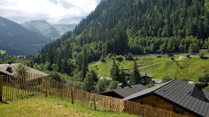 Appartement À Châtel Avec Jardin : Les Chevreuils, Location De Vacances à Châtel