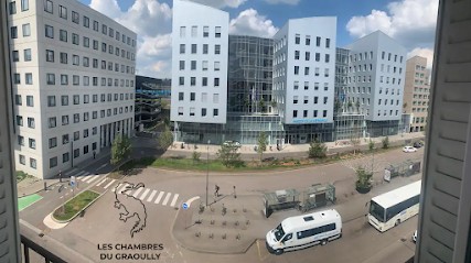 Les chambres du Graoully - Le 109, Chambre d'Hôtes à Metz