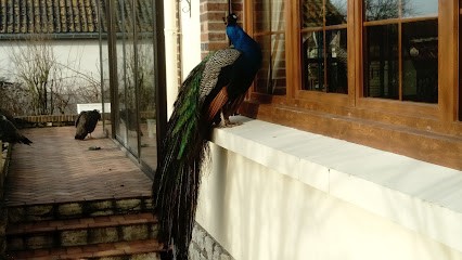 LA CLE DES CHAMPS, Chambre d'Hôtes à Montigny-sur-Avre
