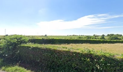 Accueil D'Ecoulandre, Chambre d'Hôtes à Mouzeuil-Saint-Martin