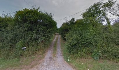 ferme de la maussionnière, Chambre d'Hôtes à Bécon-les-Granits