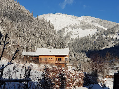 Le Petit Cornillon - Gîte De Séjour À Châtel, Location De Vacances à Châtel