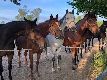 Propriété Le Buhot,, Chambre d'Hôtes à Hambye