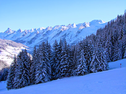 Ferme L'apreski - Reblochons Et Appartement, Location De Vacances à Thônes