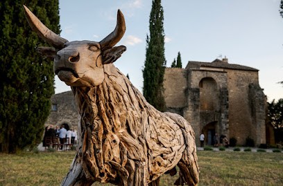 Château Saint-Pierre de Mejans, Chambre d'Hôtes à Puyvert