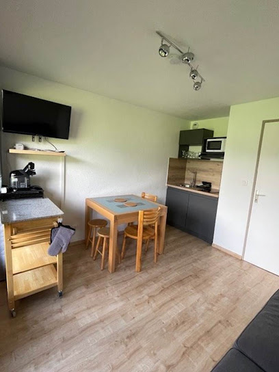 Le Repère Du Nant, Location De Vacances à Morzine