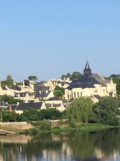 La Renaissance, Chambre d'Hôtes à Candes-Saint-Martin