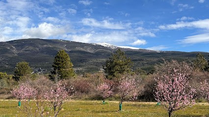 Conciergerie à Bédoin, Gîtes à Bédoin, Location De Gîtes Bedoin, Location de Vacances à Loriol-du-Comtat