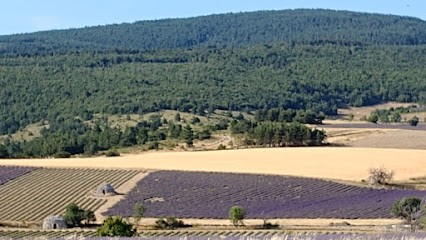 Gite Pilpoil, Chambre d'Hôtes à Sault