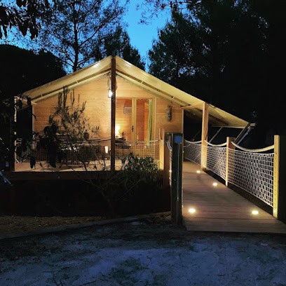 L’escale Des Pins, Chambre d'Hôtes à Six-Fours-les-Plages