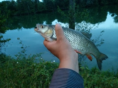 La Feuilleraie, Chambre d'Hôtes à La Rochette