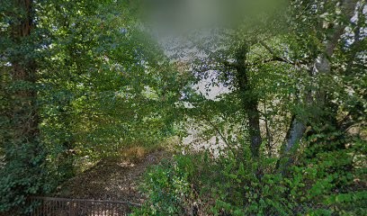 Strawberry Hill, Chambre d'Hôtes à Chissey-en-Morvan