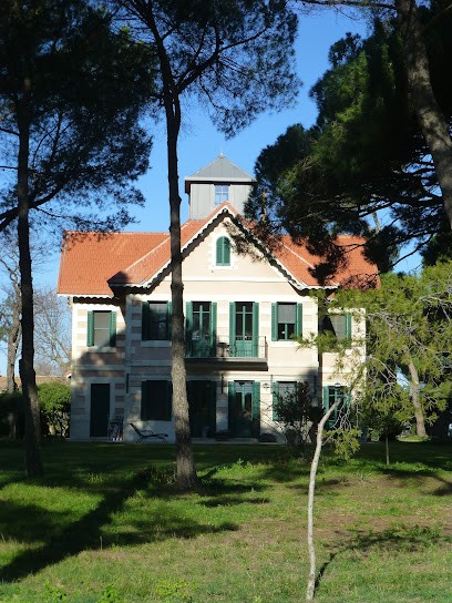 Chambre d’hôtes La Maison du Mole, Chambre d'Hôtes à Aigues-Mortes