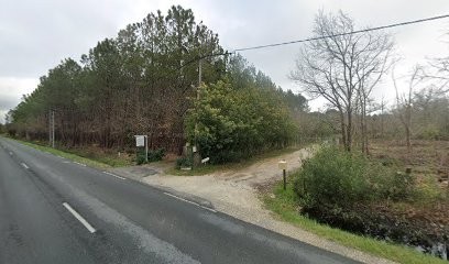 Les Oiseaux Voyageurs, Chambre d'Hôtes à Carcans