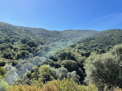 U Ruspu Chambre d'hôtes en Corse, Chambre d'Hôtes à Petreto-Bicchisano