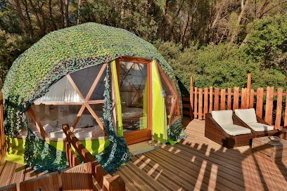 Domaine De La Tuilière | Chambre D'hôtes, Hébergement Insolite | Carnoules, Chambre d'Hôtes à Carnoules