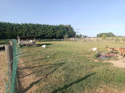 Gîte de la Morelle, Location de Vacances à Varennes-sur-Loire