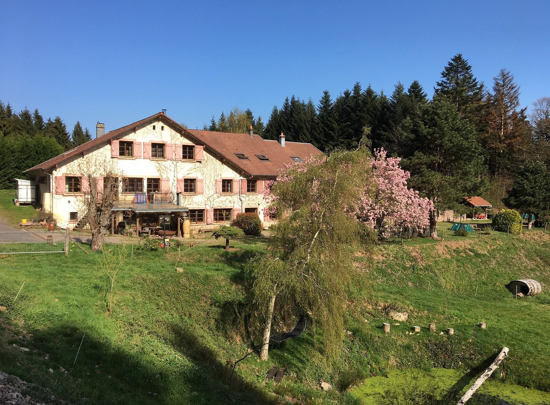 La Belle Charbonnière, Chambre d'Hôtes à La Petite-Fosse