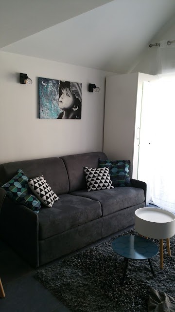 Le Cocon Tourangeau, Location de Vacances à Saint-Avertin