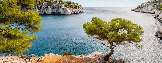 Les Pins De La Mer Studio 4 Pers, Location De Vacances à Sanary-sur-Mer
