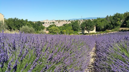 Gite à Valensole : La Tucquenoise, Location de Vacances à Valensole