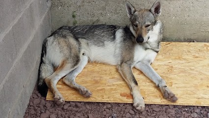 Gite indépendant Storikhaus, Location de Vacances à Surbourg