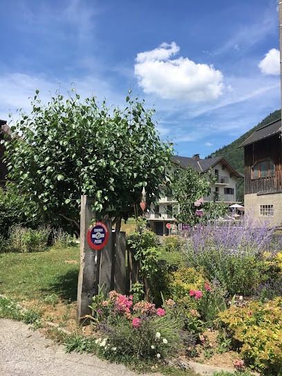 Chalet le Passe-montagne, Chambre d'Hôtes à Morzine