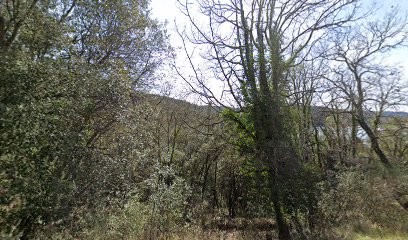 Les Terres D’Hermès, Chambre d'Hôtes à Montauroux