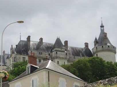 La Chrysalide, Chambre d'Hôtes à Rilly-sur-Loire