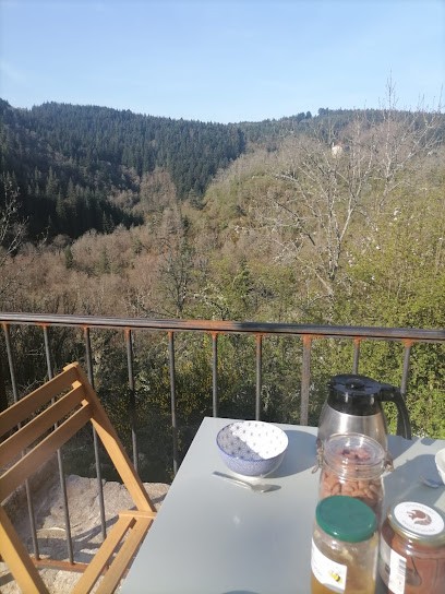 Gîte pleine nature La Bambine, Location de Vacances à Saint-Pal-de-Mons