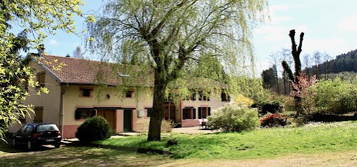 Gruppen - Ferienhaus - Vogesen, Location de Vacances à Taintrux