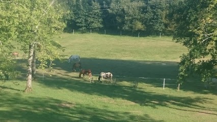 Comité Entreprise R A T P, Chambre d'Hôtes à Vicq-sur-Breuilh