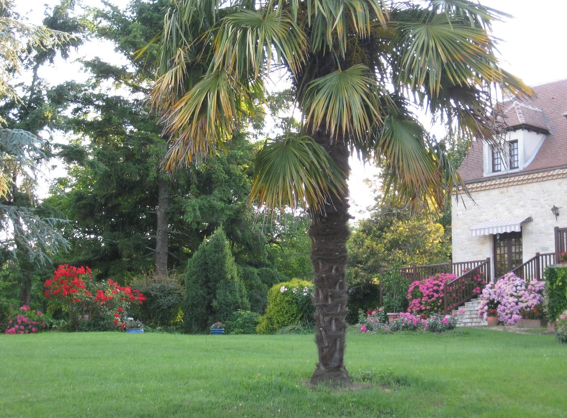 Chambres D'hôtes Ferme De Cabrejou, Chambre d'Hôtes à Saint-Denis-lès-Martel