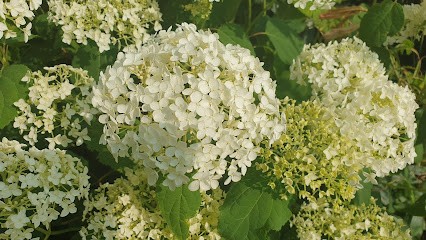 Location de meublés, Location de Vacances à Évaux-les-Bains