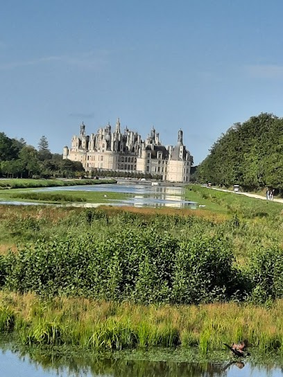 Bird of Paradise, Chambre d'Hôtes à Thoury