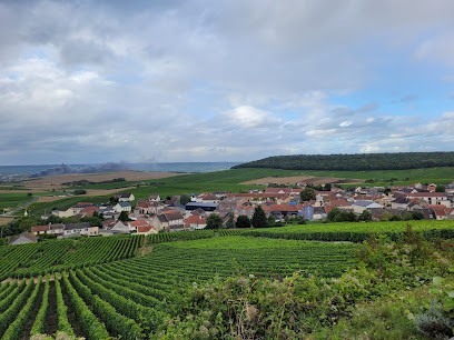 B&B en Champagne, Chambre d'Hôtes à Cramant