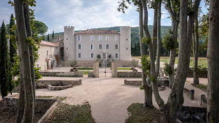 Château De Taulignan Chambre D'hôtes à Vaison-la-Romaine