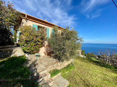 La Casetta Du Cap : Maison De Vacances Au Cap Corse, Vue Mer Envoutante, Au Dessus D'erbalunga 20 Min Bastia, Location De Vacances à Brando