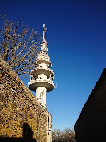 La Maison R, Chambre d'Hôtes à Pignans