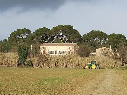 Gîte Domaine de Grange Neuve 34, Location de Vacances à Villeveyrac