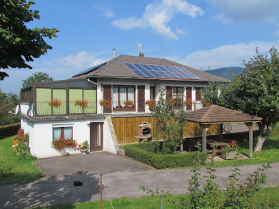 Gîte Au Nid Douillet, Location De Vacances à Dommartin-lès-Remiremont