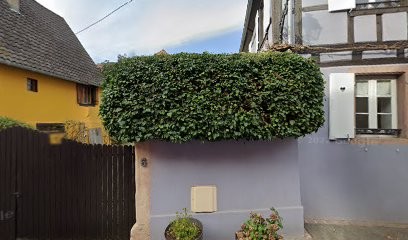 La Poule Bleue - Alsace, Maison d'Hôtes à Beblenheim