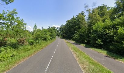 Chez Isabelle Et Eric, Location de Vacances à Saint-Julien-en-Born