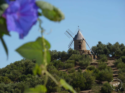 Résidence Le Moulin : Appartement Au Calme Avec Terrasse, Au Pied Des Albères, Proche Plage, À Collioure, Pyrénées-Orientales Location De Vacances à Collioure