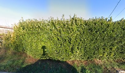 Campagne Gargory, Chambre d'Hôtes à Lambesc