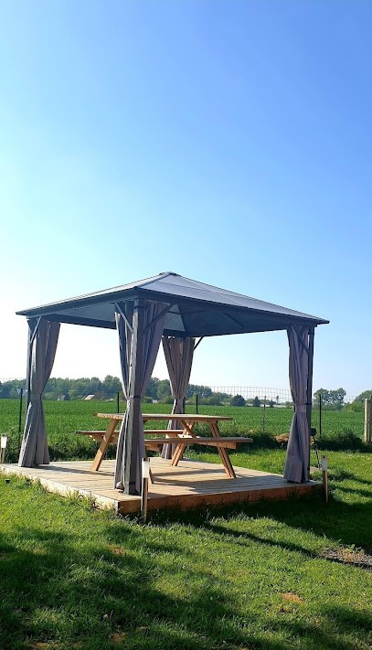 Tropic'spa, Chambre d'Hôtes à La Longueville